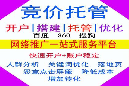 SEM外包服务优势案例分析